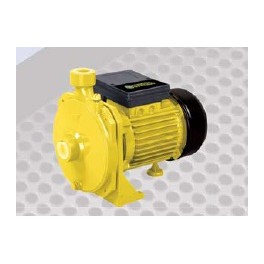 BOMBA CENTRIFUGA 1HP FOREST GARDEN